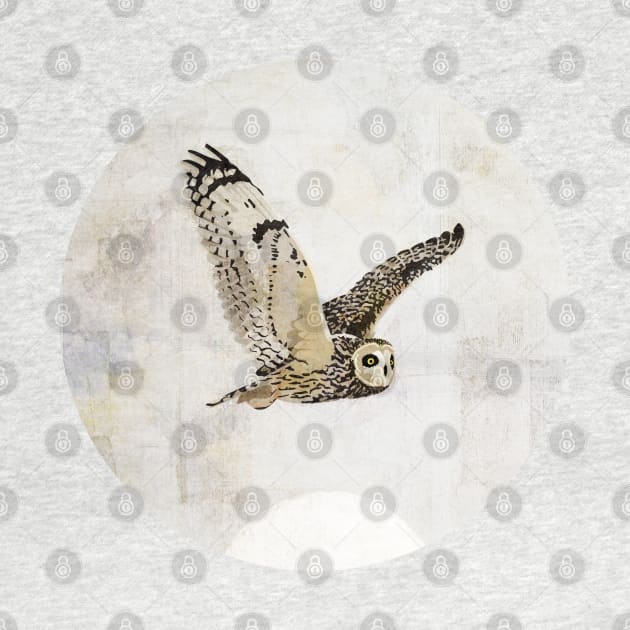 Short Eared Owl by KatherineBlowerDesigns